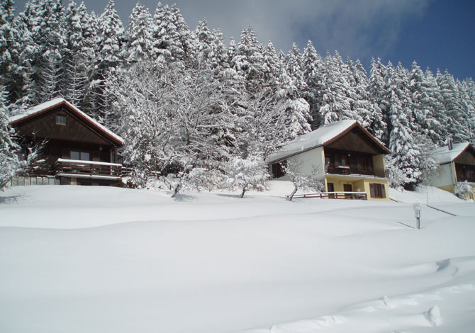 location chalet ski remiremont